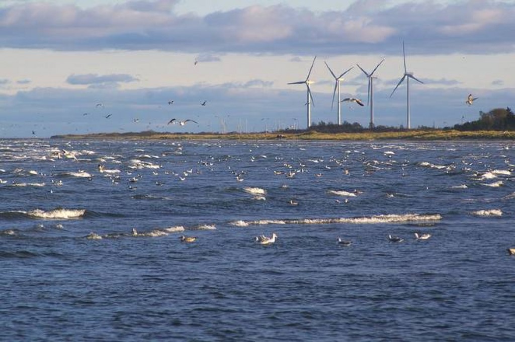 Denmark sets world record for wind power consumption
