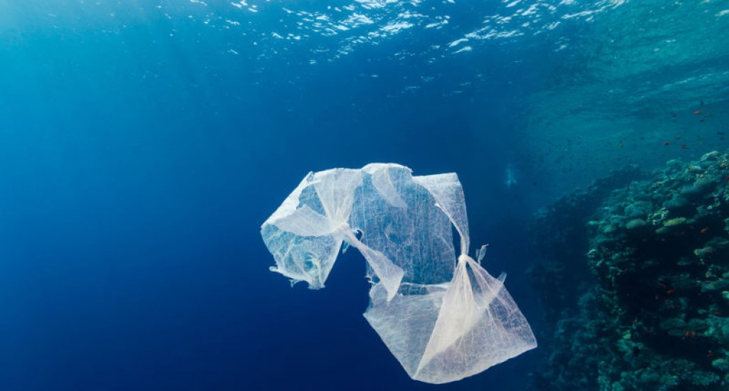 We're Emptying the Oceans of Fish and Filling Them With Plastic 