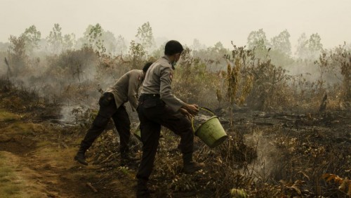 As Air Quality Decreases In Singapore, Indonesia Increases Response to Burning Forest Fires