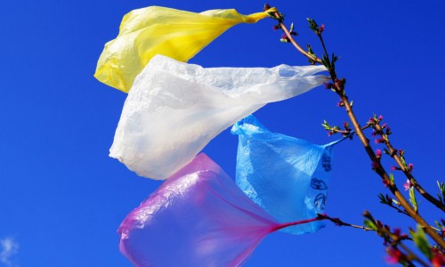 California officially becomes the first state to ban plastic bags