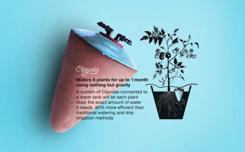 Artisanal clay pots from Egypt can water your plants for up to a month