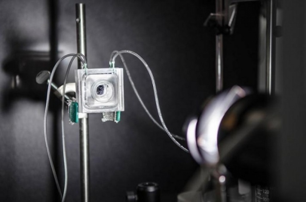 Renewable Energy and Tech: Artificial Leaf Creates Hydrogen Fuels