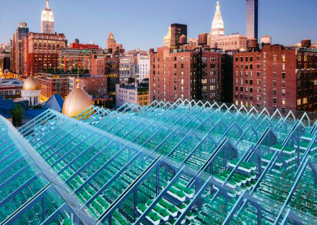 Edenworks Is Building The Future Of Food On Urban Rooftops