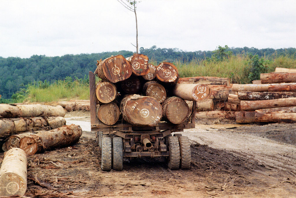 Massive road and rail projects could be Africa’s greatest environmental challenge