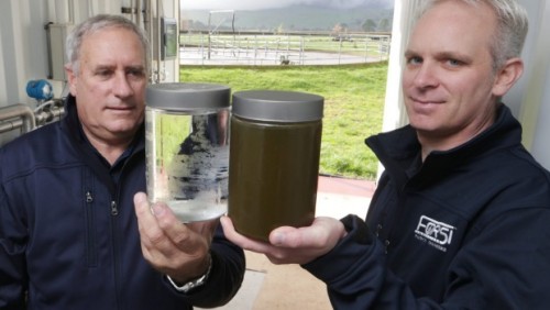 Payout dampens sales but not interest in effluent recycling system