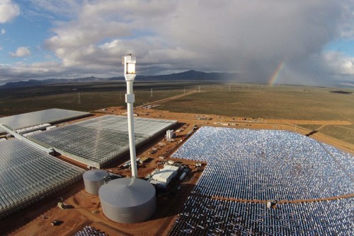First farm to grow veg in a desert using only sun and seawater