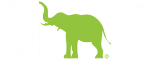 Elecosy-The Elephant Paper